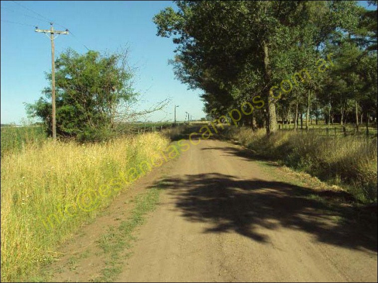 123 Chivilcoy (BA)