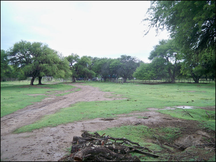 1629 ha. Merlo (San Luis)