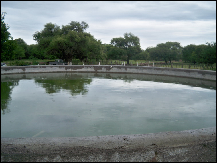 1629 ha. Merlo (San Luis)
