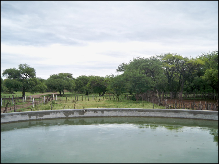 1629 ha. Merlo (San Luis)