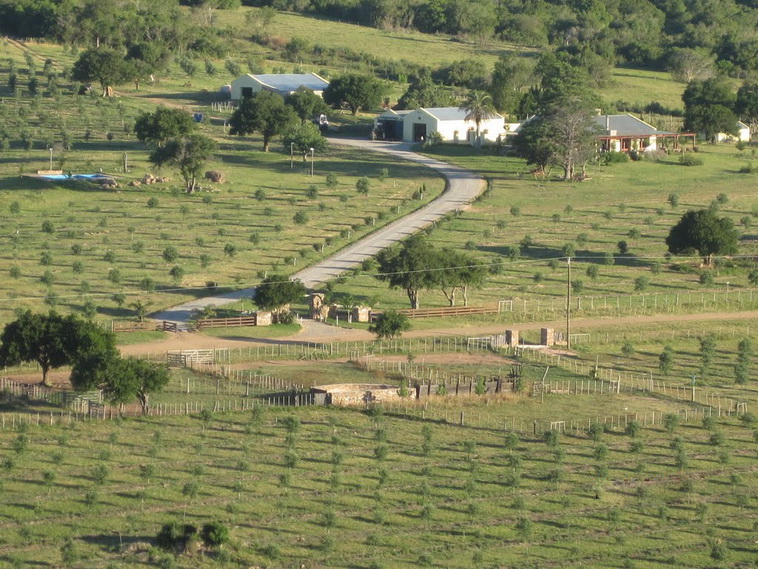 751 ha. Lavalleja (Uruguay)