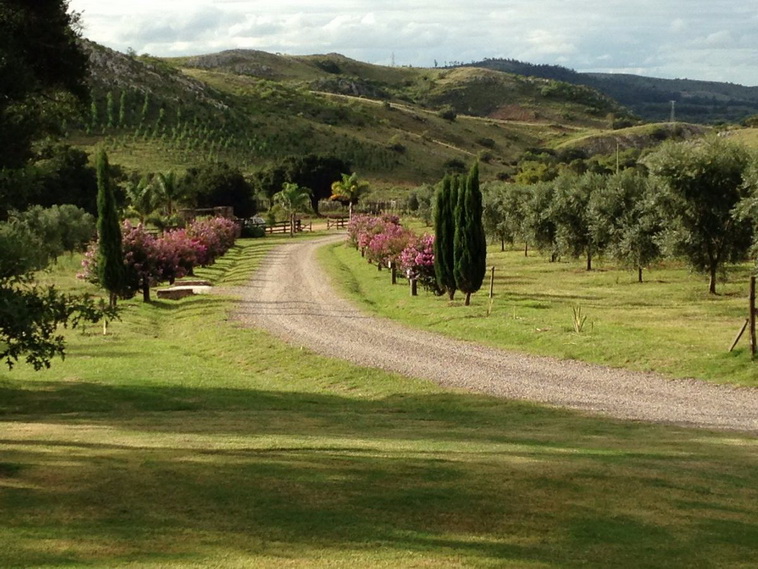 751 ha. Lavalleja (Uruguay)