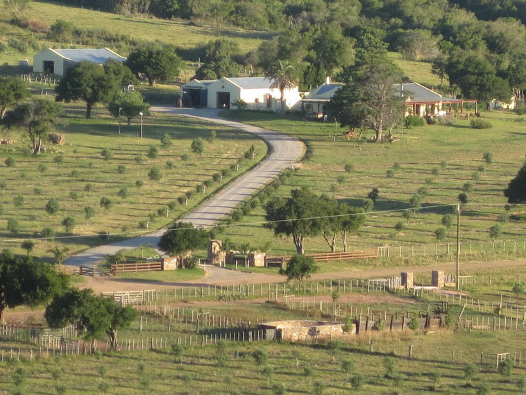751 ha. Lavalleja (Uruguay)