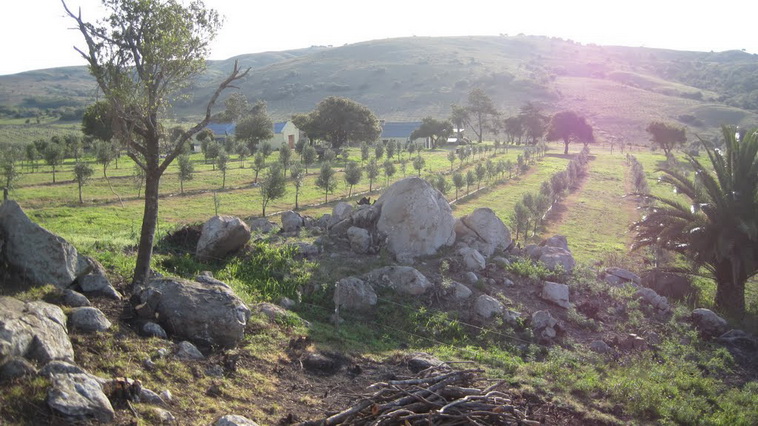 751 ha. Lavalleja (Uruguay)