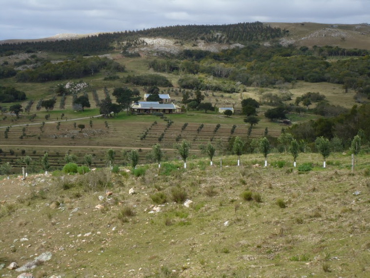 751 ha. Lavalleja (Uruguay)