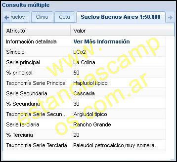 211 ha. Coronel Suarez (BA)