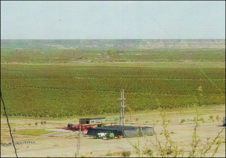 10700 ha. en Puelen (La Pampa)