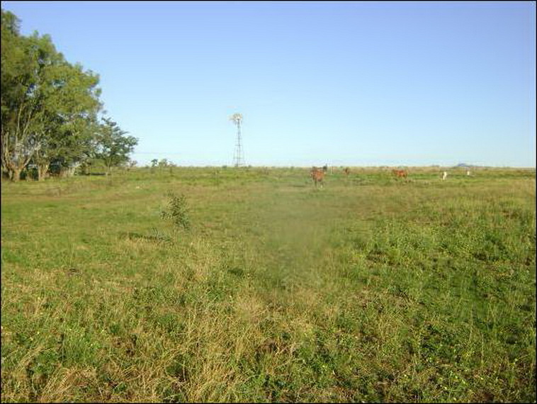 100 ha. Pigue Saavedra (BA)