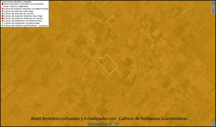 209 ha. en Saavedra (BA)