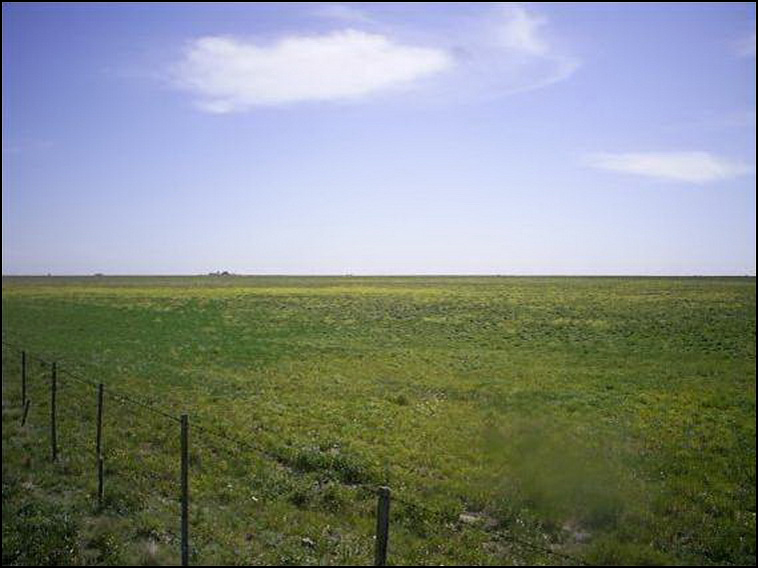 209 ha. en Saavedra (BA)