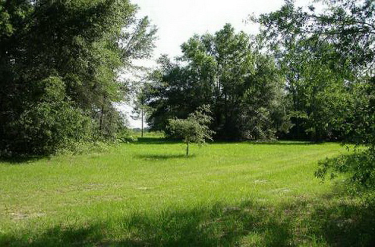 32 ha. USA-Gainesville_FL