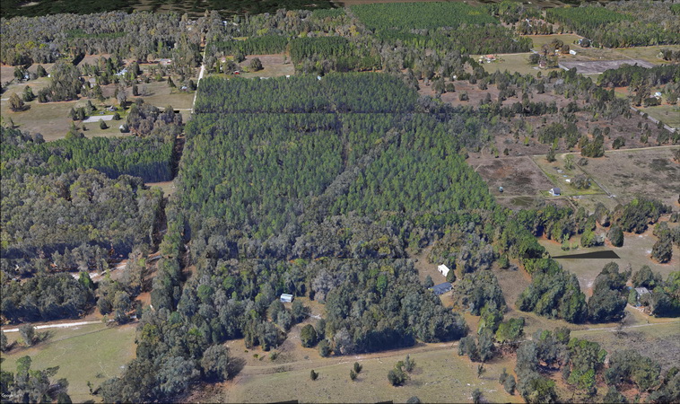 32 ha. USA-Gainesville_FL