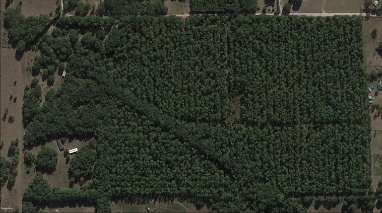 32 ha. USA-Gainesville_FL