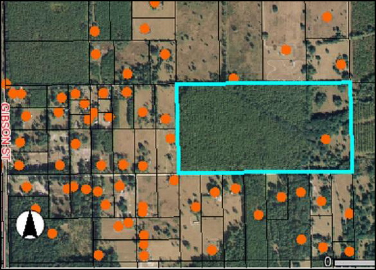 32 ha. USA-Gainesville_FL