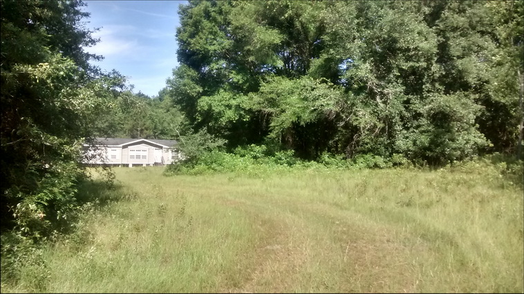 32 ha. USA-Gainesville_FL