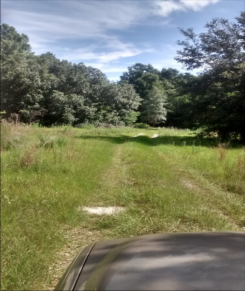 32 ha. USA-Gainesville_FL