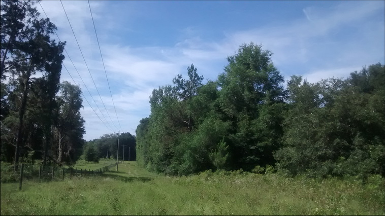 32 ha. USA-Gainesville_FL