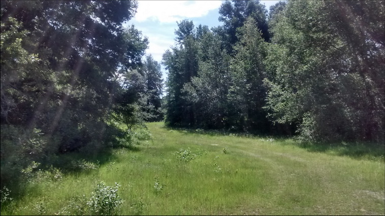 32 ha. USA-Gainesville_FL
