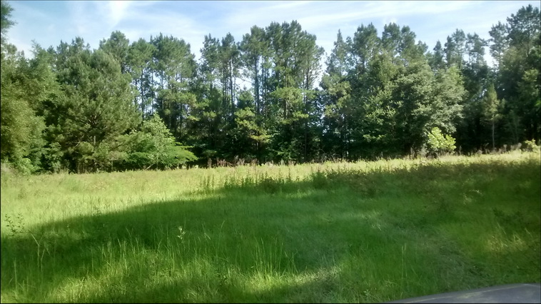 32 ha. USA-Gainesville_FL