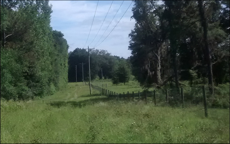32 ha. USA-Gainesville_FL