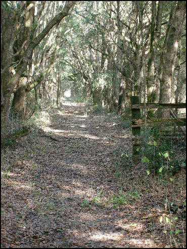 32 ha. USA-Gainesville_FL