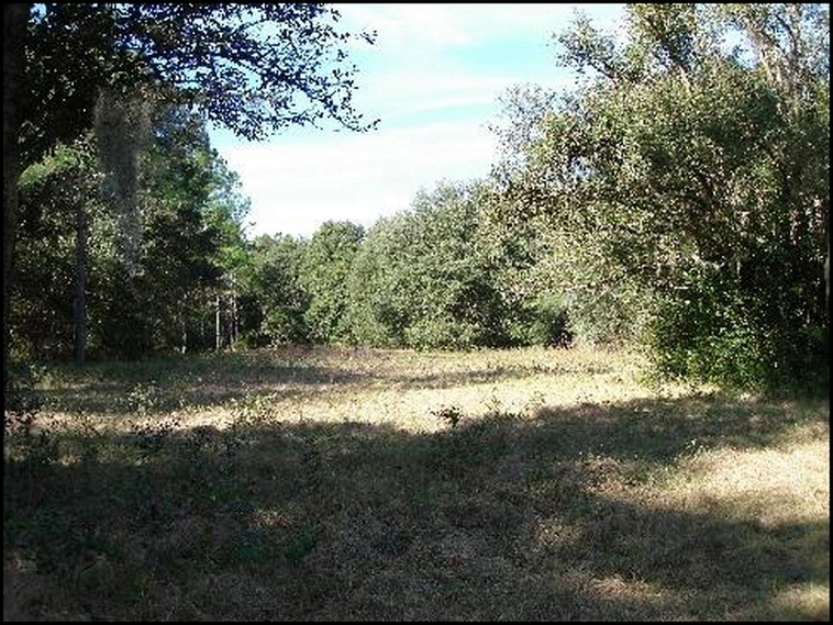 32 ha. USA-Gainesville_FL