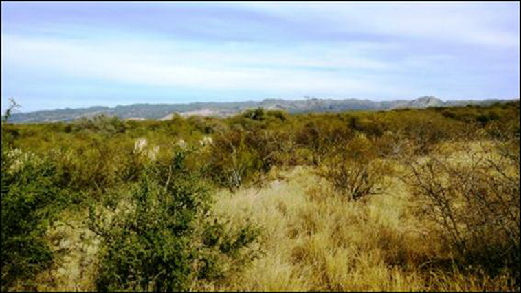 300 ha. en La Calera (San Luis)