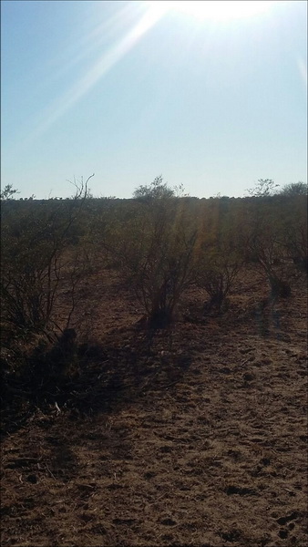 300 ha. en La Calera (San Luis)