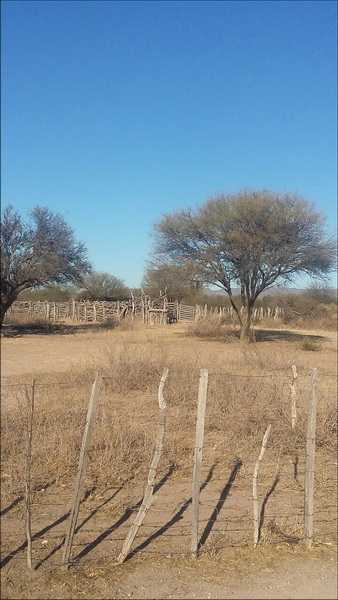 300 ha. en La Calera (San Luis)