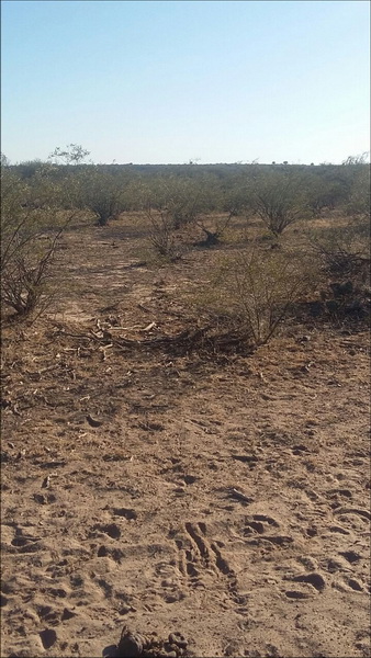 300 ha. en La Calera (San Luis)