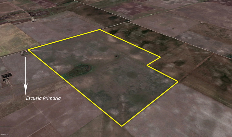 126 ha. en Colonia el Trigo Saavedra (BA)