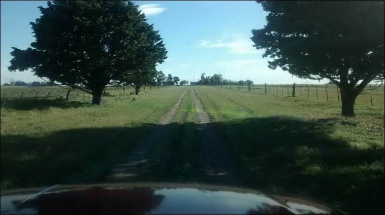 147 ha. en Saavedra (Buenos Aires)