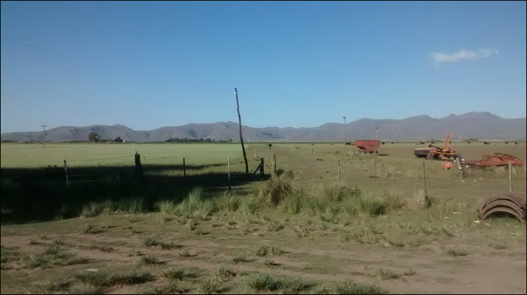 147 ha. en Saavedra (Buenos Aires)