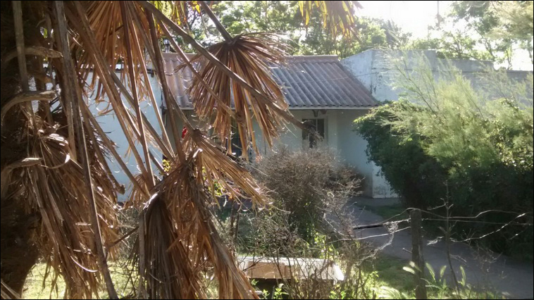 147 ha. en Saavedra (Buenos Aires)