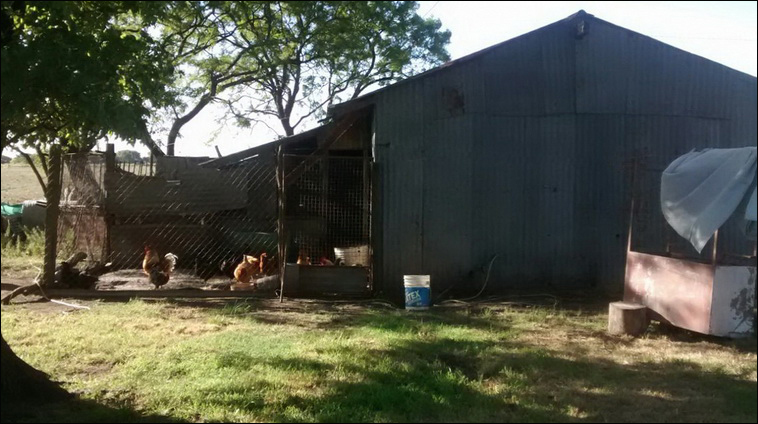 147 ha. en Saavedra (Buenos Aires)
