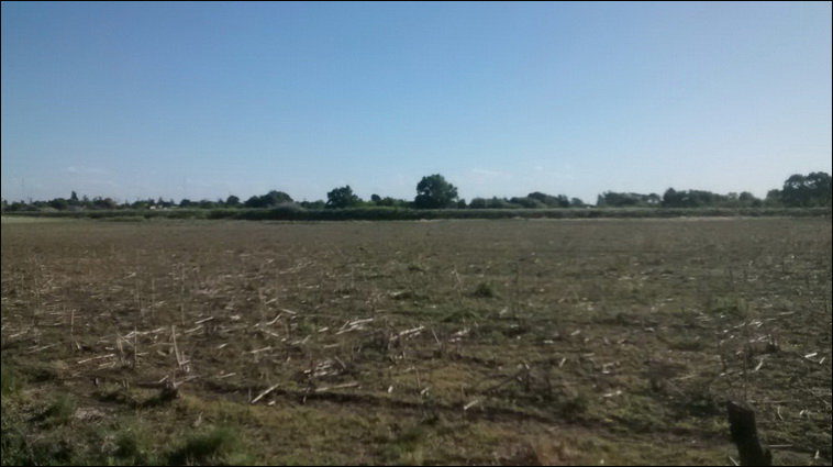 147 ha. en Saavedra (Buenos Aires)