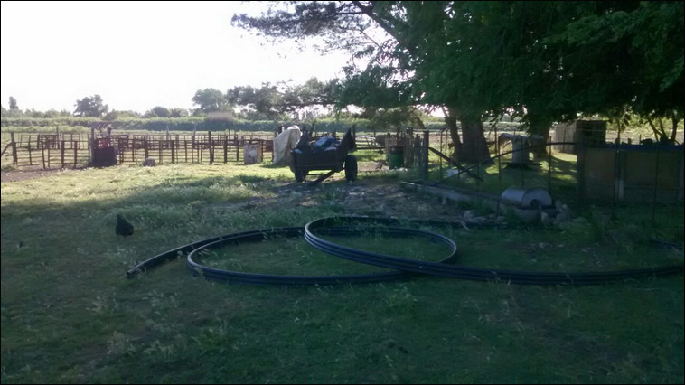 147 ha. en Saavedra (Buenos Aires)