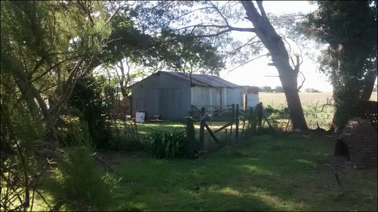 147 ha. en Saavedra (Buenos Aires)