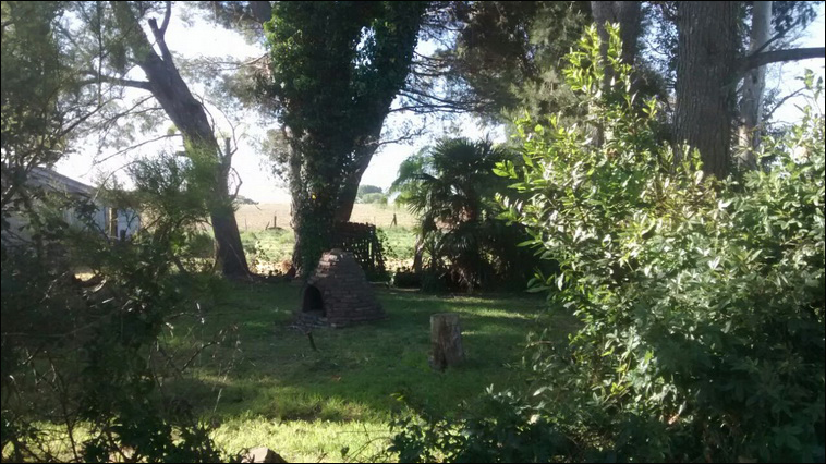 147 ha. en Saavedra (Buenos Aires)