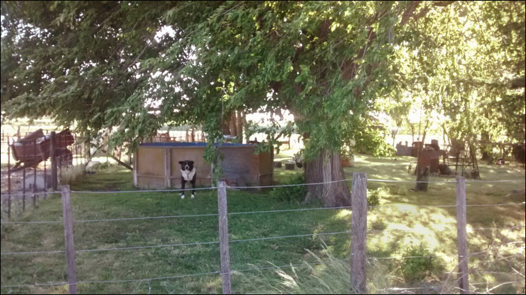 147 ha. en Saavedra (Buenos Aires)