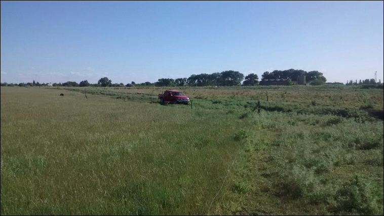 147 ha. en Saavedra (Buenos Aires)