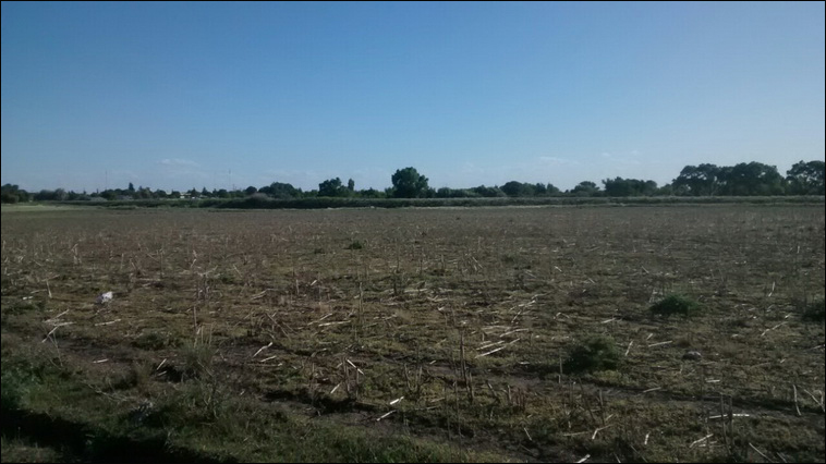 147 ha. en Saavedra (Buenos Aires)