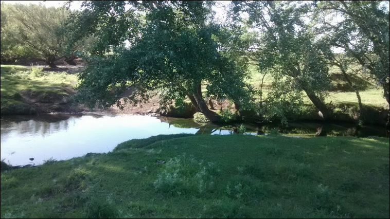 147 ha. en Saavedra (Buenos Aires)