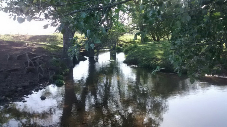 147 ha. en Saavedra (Buenos Aires)