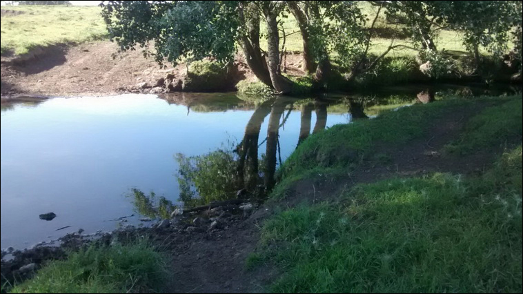 147 ha. en Saavedra (Buenos Aires)