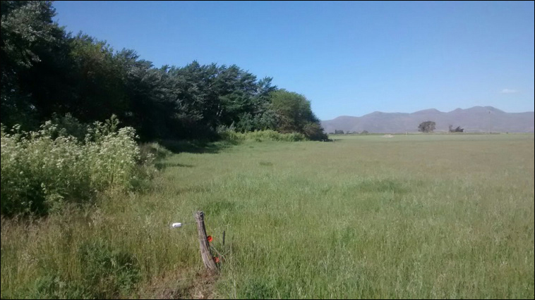 147 ha. en Saavedra (Buenos Aires)