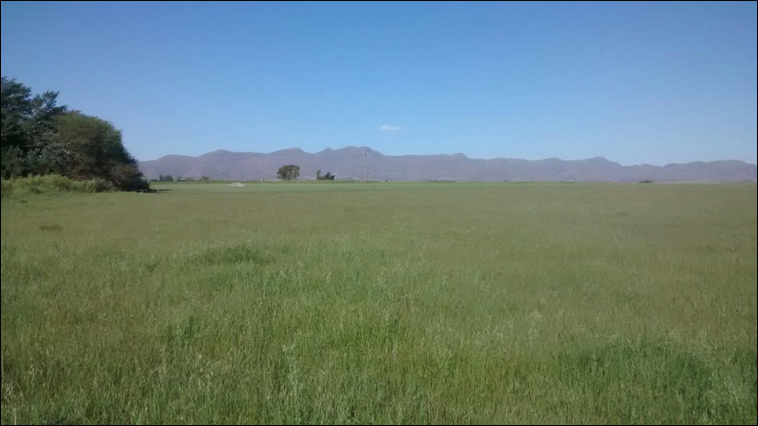 147 ha. en Saavedra (Buenos Aires)