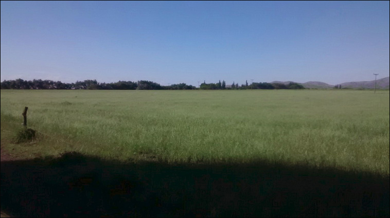 147 ha. en Saavedra (Buenos Aires)