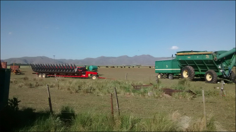 147 ha. en Saavedra (Buenos Aires)