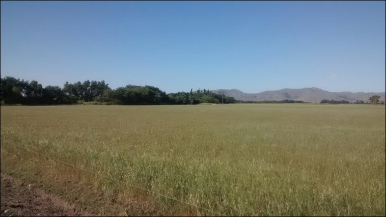 147 ha. en Saavedra (Buenos Aires)